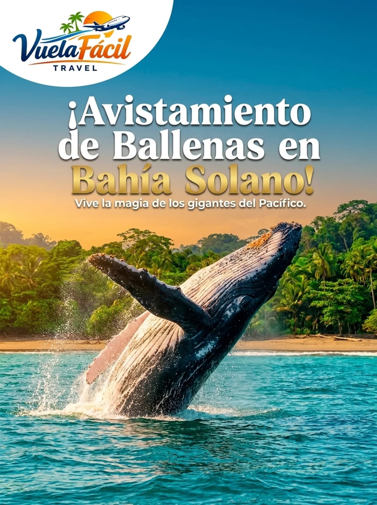 Bahía Solano